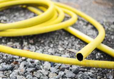 En gul slang som ligger på marken